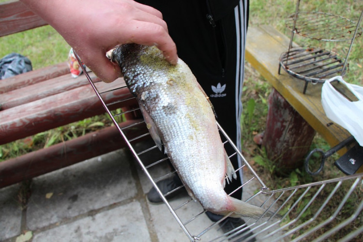 Решетка для рыбы в Нижнем Новгороде