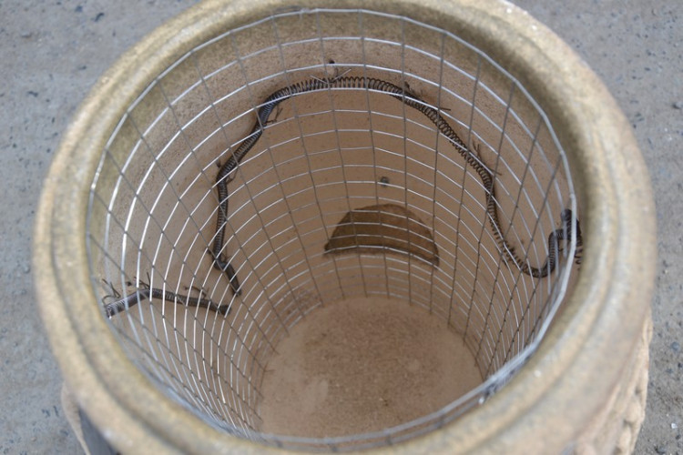 Тандыр Электрический Малый в Нижнем Новгороде