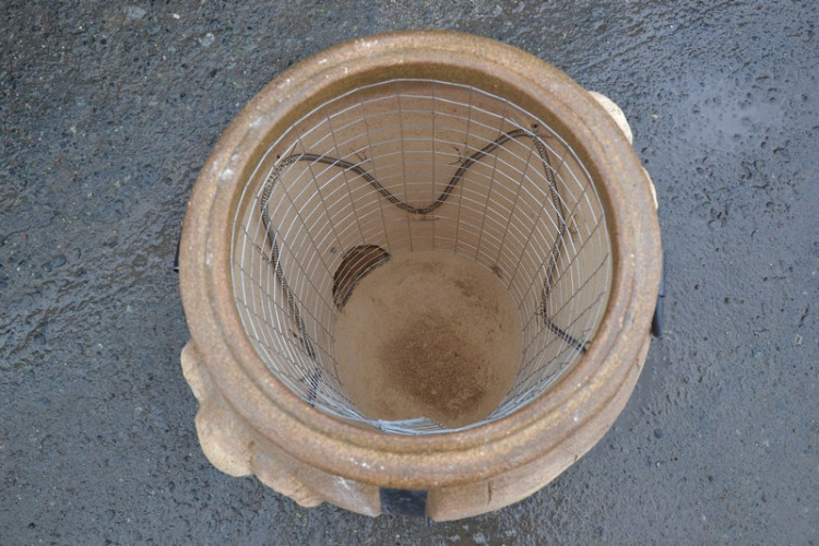 Тандыр Электрический Баран в Нижнем Новгороде