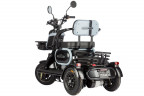 Электротрицикл Wanshida UN MOTO в Нижнем Новгороде