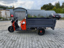 Грузовой электрический трицикл Pаntеrа Гидрaвлика 75V1500W в Нижнем Новгороде